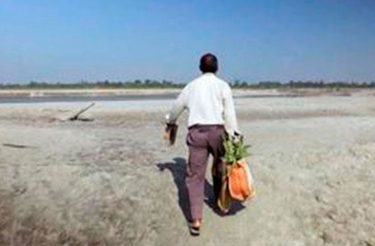 Homem planta árvores todos os dias. 37 anos depois, esta é sua obra-prima.