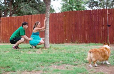 Mãe deu a luz e não viu que cão ficou ao seu lado todo tempo, então a fotógrafa mostrou essas fotos