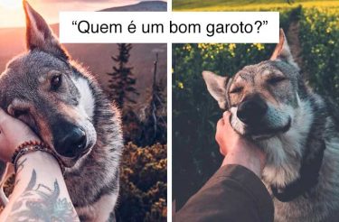 Homem mudou sua vida após conhecer cão e suas fotos são a coisa mais linda que você vai ver hoje