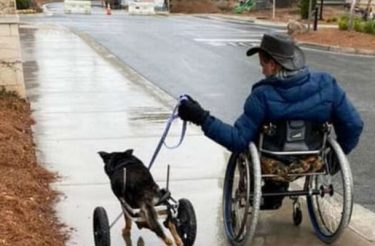 Cachorro rejeitado por deficiência finalmente encontra alguém que o entende