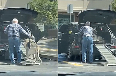 Homem constrói rampa para ajudar seu cachorro idoso a subir no carro [Vídeo]