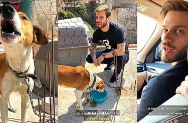 Defensor da causa animal faz resgate de cachorro acorrentado em laje [Vídeo]