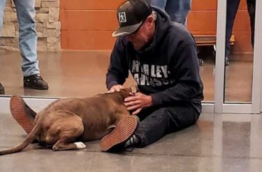 Homem derrama lágrimas de alegria quando reencontra seu cachorro que estava desaparecido há 6 meses