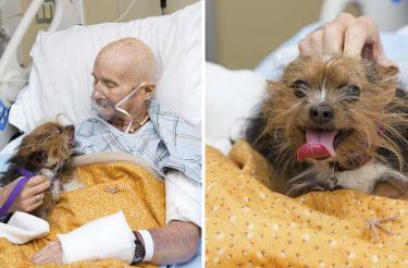 Cachorrinho fica tão feliz e animado por ver seu tutor uma última vez