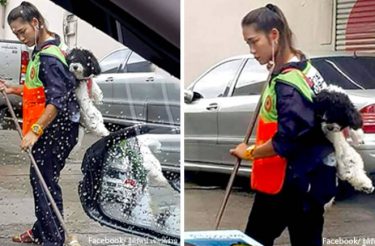 Mulher vai trabalhar todos os dias com seu cachorro nas costas para não deixá-lo sozinho em casa