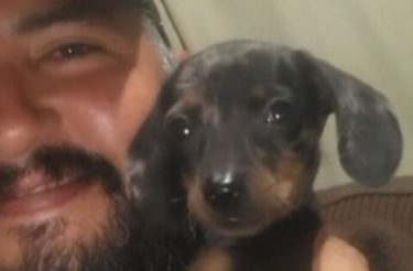 Homem oferece sua moto como recompensa para quem encontrar seu cachorrinho perdido