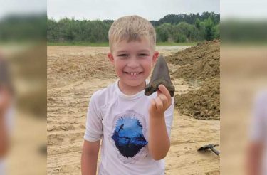 Menino de 8 anos encontra dente de tubarão extinto há cerca de 22 milhões de anos