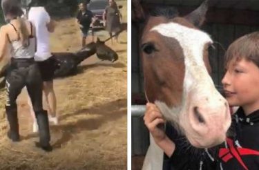 Menino segura cabeça de cavalo por mais de uma hora para salva-lo