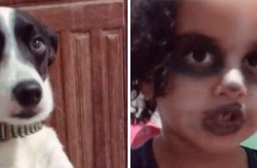 Menina de 3 anos faz maquiagem para ficar igual ao cachorro [Vídeo]