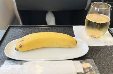 Vegano pede cardápio sem animais em avião e recebe prato com apenas uma banana:”Falta de respeito