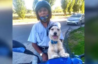 Idoso leva seu cachorro para trabalhar numa moto para não o deixar sozinho em casa