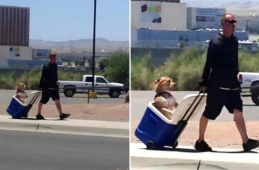 Jovem carrega seu cachorro para proteger as patinhas do chão quente: “Gesto maravilhoso”