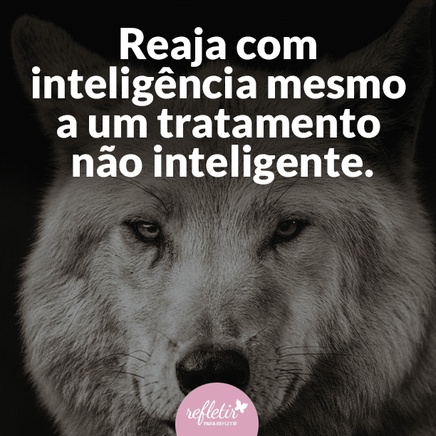 Frases INTELIGENTES