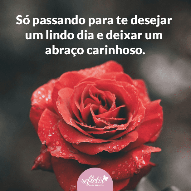 Frases de Carinho