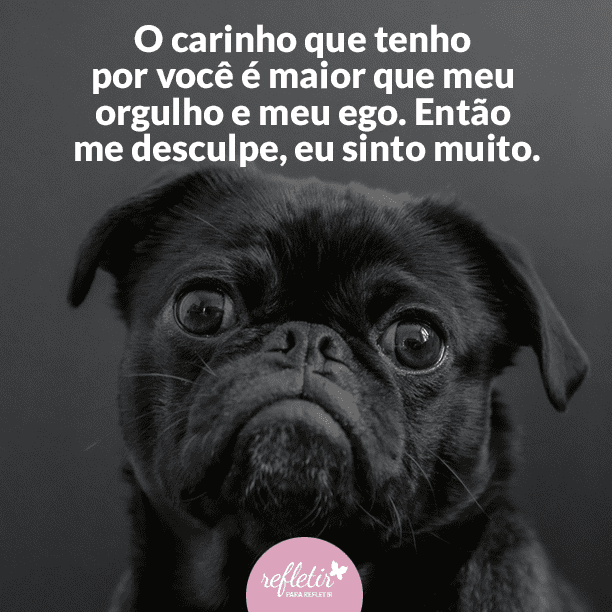 Frases de Carinho