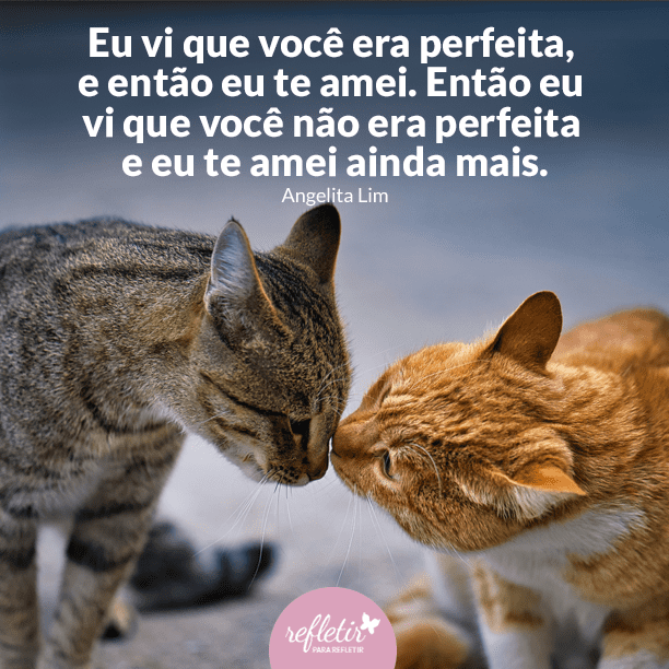 Frases de Carinho