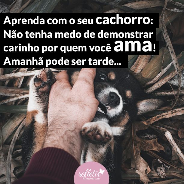 Frases de Carinho