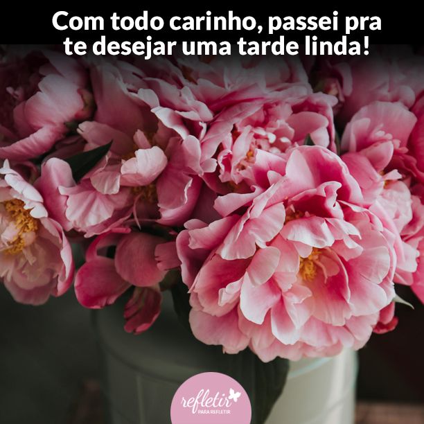 Frases de Carinho